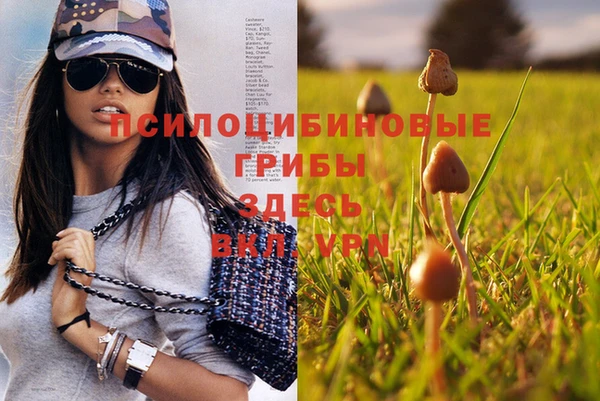 кокс Алексеевка