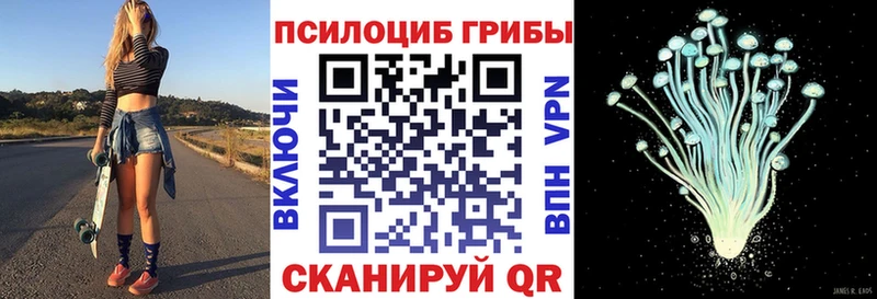 Псилоцибиновые грибы GOLDEN TEACHER  Ермолино 